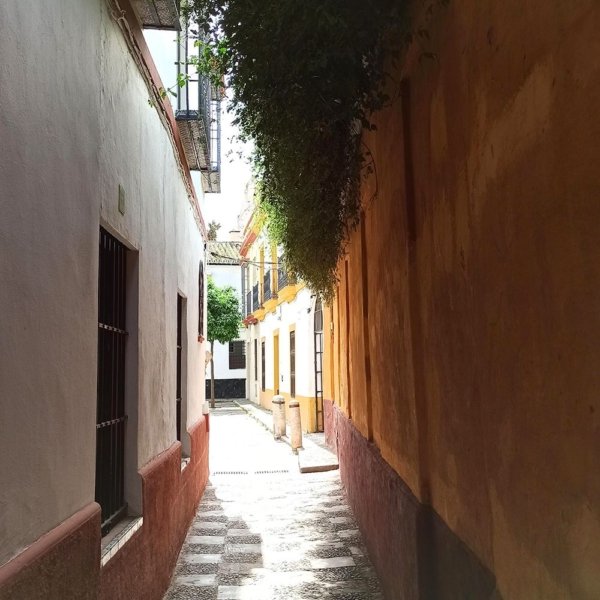 calle barrio santa cruz judería sevilla Calle del Barrio de Santa Cruz