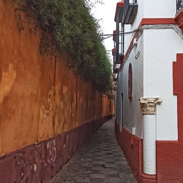 calle judería barrio santa cruz sevilla Calle de la judería barrio de Santa Cruz