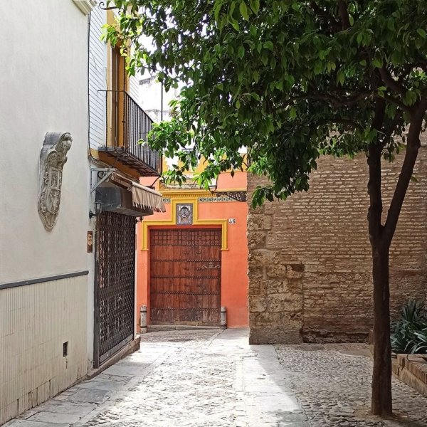 calle rodrigo caro barrio santa cruz judería muralla sevilla Calle Rodrigo Caro junto a las murallas