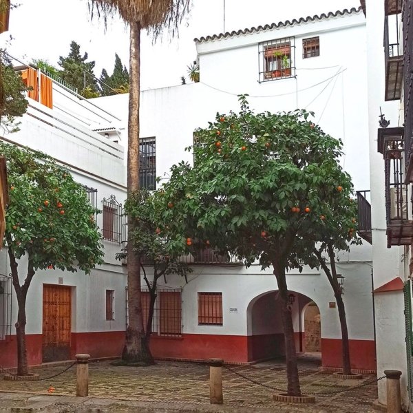plazuela calle susona barrio santa cruz judería sevilla Calle de la Susona en el Barrio de Santa Cruz