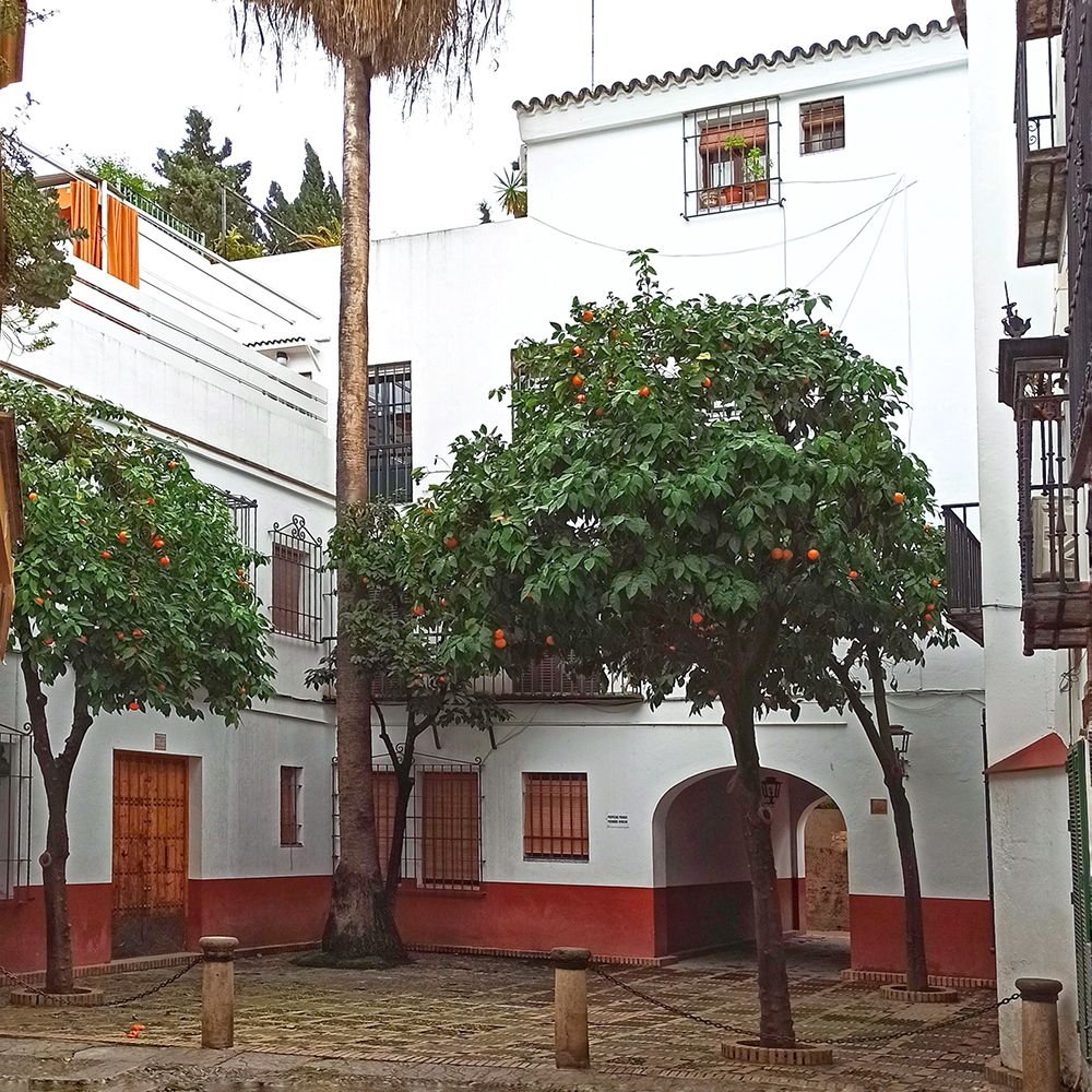 Calle de la Susona en el Barrio de Santa Cruz