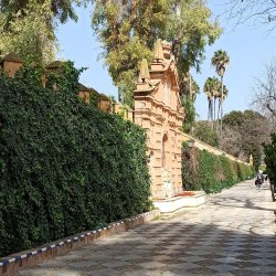 WALL OF THE PASEO CATALINA DE RIBERA (CONTEMPORARY)