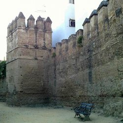 WALLS IN JARDINES DEL VALLE