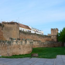 WALLS OF THE MACARENA