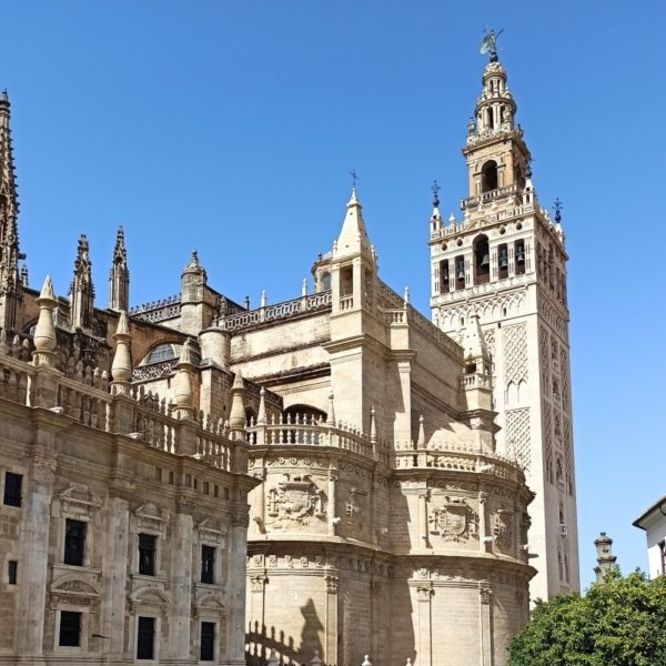 Archivo_000 (119)